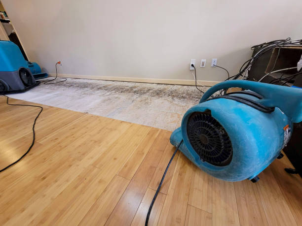 Professional Structural Drying technician working in Rockdale, IL